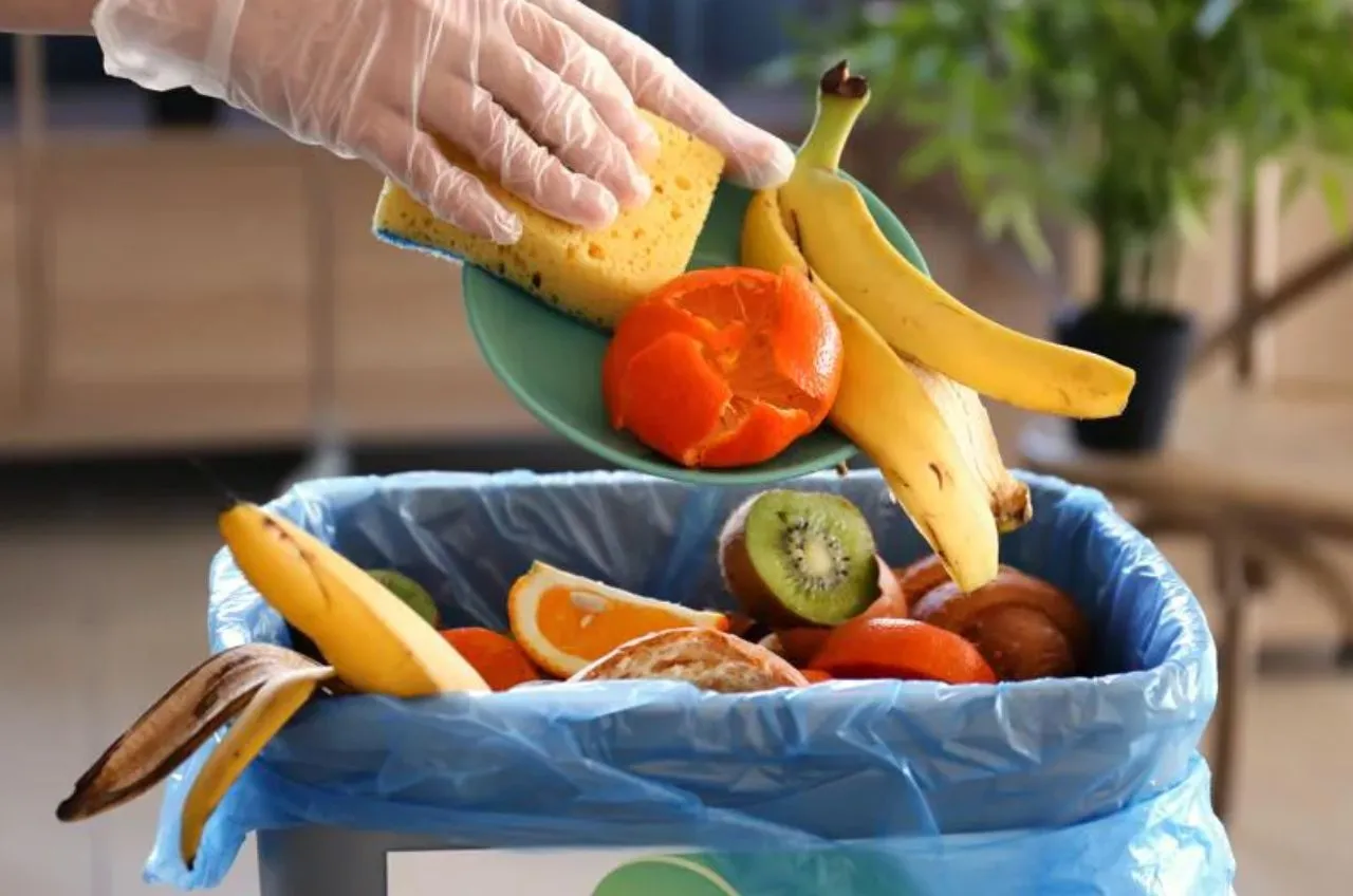 La legge 166/16 sullo spreco alimentare